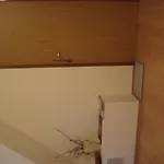 Polarka 3*